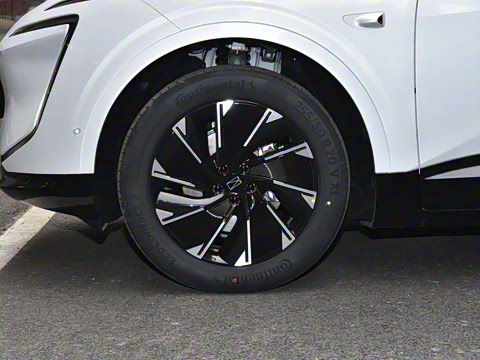 2024�� Max�����