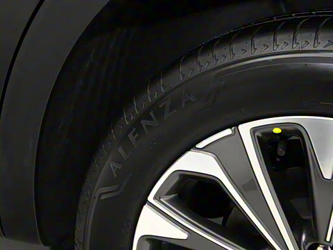 2025�� 25T �����׽��