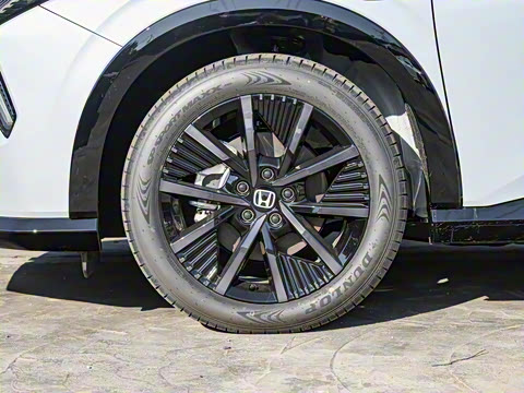 2024�� ����