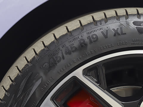 2025�� ���� 565����Max�캽��