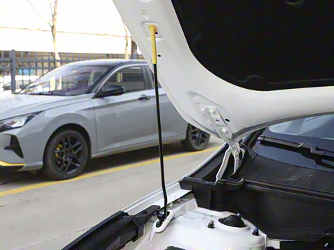 2023�� 1.5T ����������