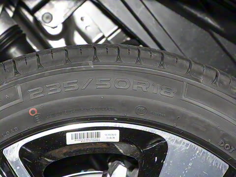 2026�� �鶯������