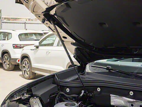 2025�� ;�� Pro 450TSI ����̽����