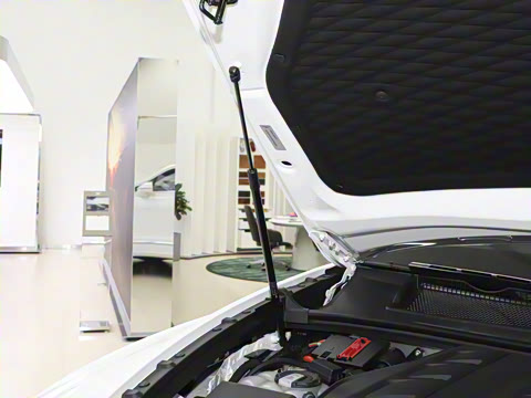 2024�� 4.0T V8 ������