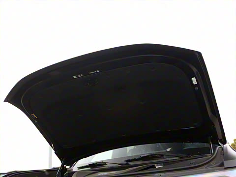 2025�� ���º����� 7��