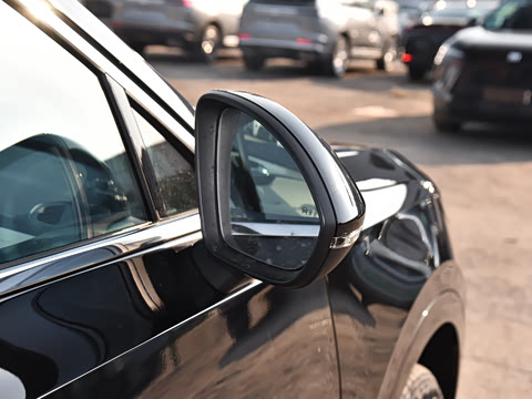 2025�� ������Plus ����Avenir��ά��