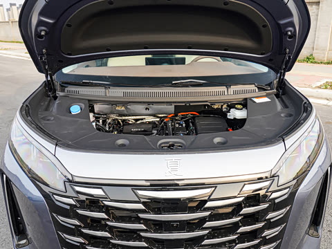 2025�� DM-i 1.5T 100km ��Խ��