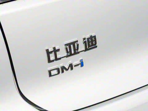 2025�� DM-i �Ǽݰ� 125KM�����