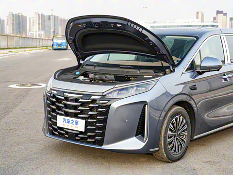 2025�� DM-i 1.5T 100km ��Խ��