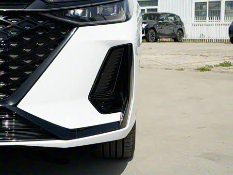 2025�� 145km ������