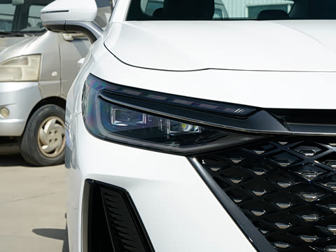 2025�� 145km ������