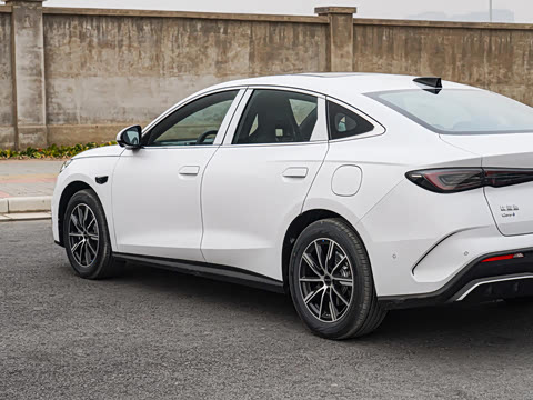 2025 DM-i Ǽݰ 120KM