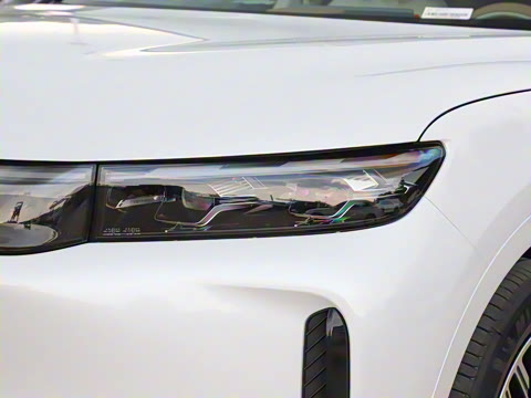 2025�� FREE+ ����Ǭ����