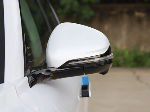 2025�� FREE+ ����Ǭ����