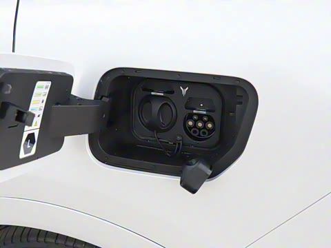 2025�� FREE+ ����Ǭ����