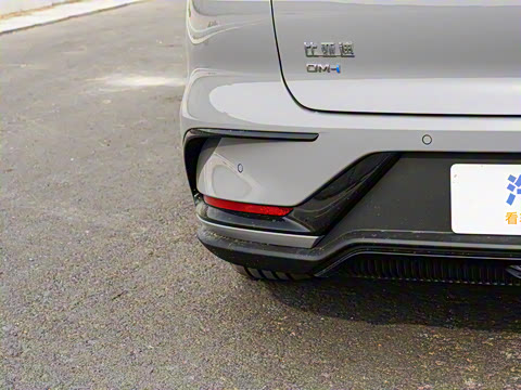 2025�� DM-i �Ǽݰ� 125KM������