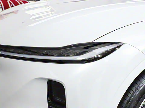 2025�� ��������� 515�����