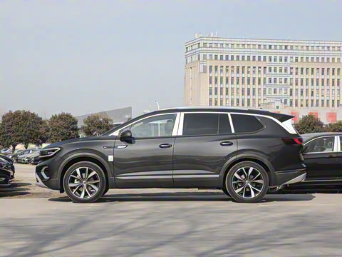 2025�� 530TSI �����콢ʤ��Pro ������ 6��