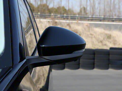 2025�� ;�� Pro 450TSI �����ݺ��