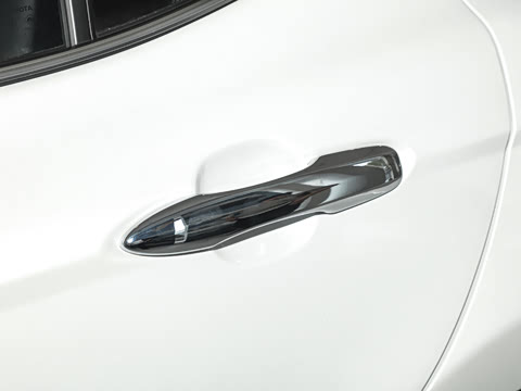 2024�� ˫�� 2.0HGVP ������