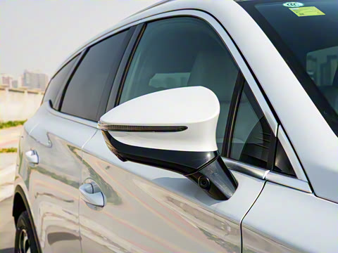 2025�� �Ǽݰ� DM-i 115KM �����