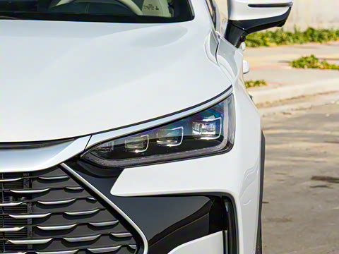 2025�� �Ǽݰ� DM-i 115KM �����