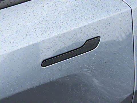 2025�� ����������