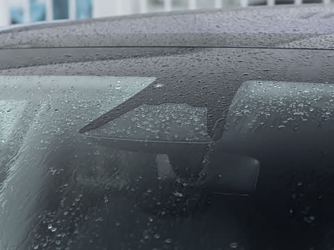 2025�� ����������