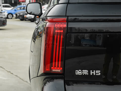 2025�� 2.0T�Զ������캽�� ����