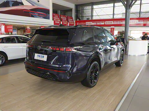 2025�� ;�� Pro 450TSI �����Ƿ��