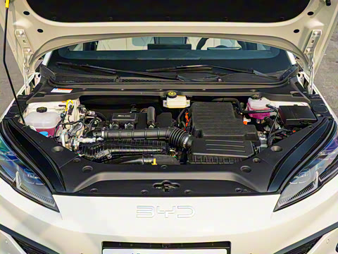 2025�� DM-i �Ǽݰ� 80KM������