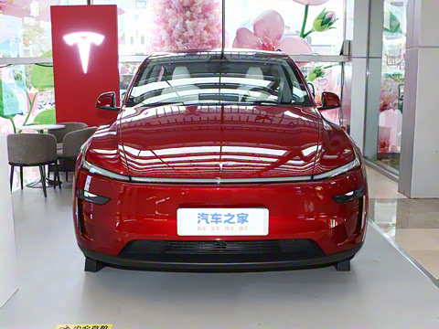 2025�� ����������