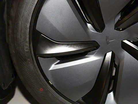 2025�� ����������