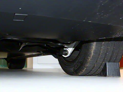 2025�� ����������