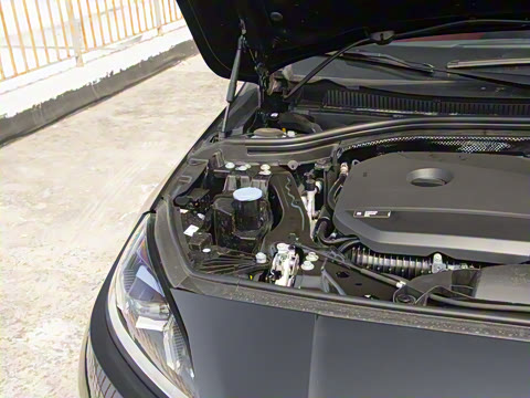 2025�� 225L M�˶���װ