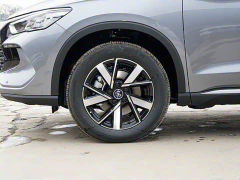 2024�� ��ҫ�� DM-i 71KM��Խ��