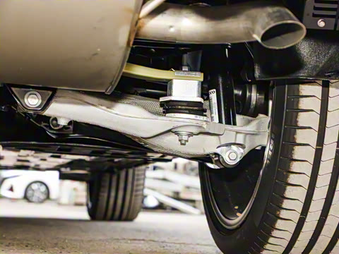 2026�� ���ʽ�춯 ������������Զ��ҹ�ڰ�