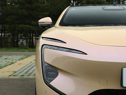 2024�� 700 ���������������