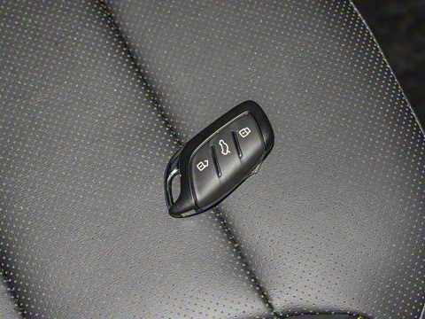 2025�� 1.5T XLINE �����