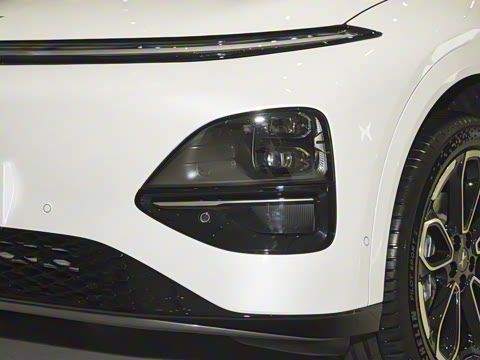 2025�� 625 ������ Max �콢��