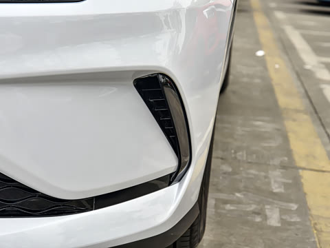 2025�� DM-i �Ǽݰ� 55KM������