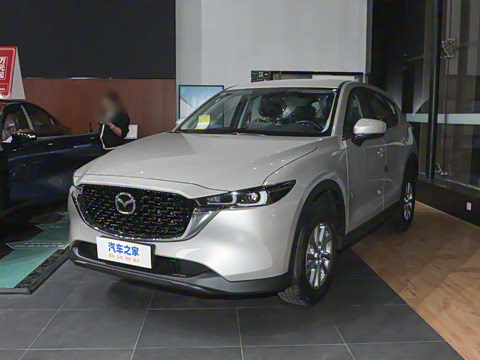 2024�� 2.0L �Զ�����������