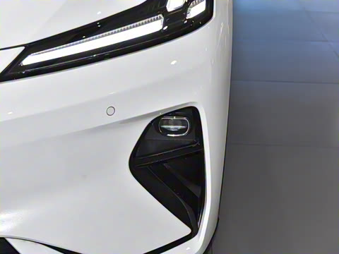 2025�� 530Max  �����Ǽ�AD PRO�����