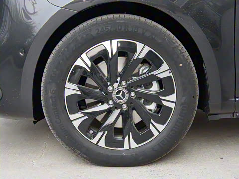 2024�� V 300 �캽��