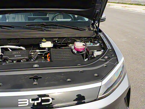 2025�� DM-i �Ǽݰ� 115KM������