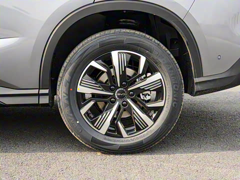 2025�� DM-i �Ǽݰ� 115KM������