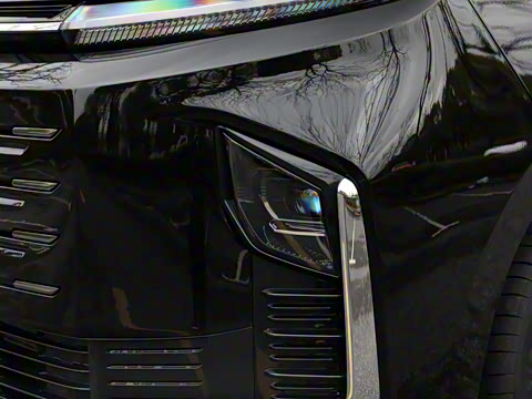 2025�� �캽��