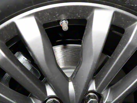 2025�� �캽��