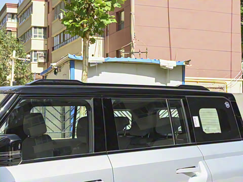 2025�� 501���������