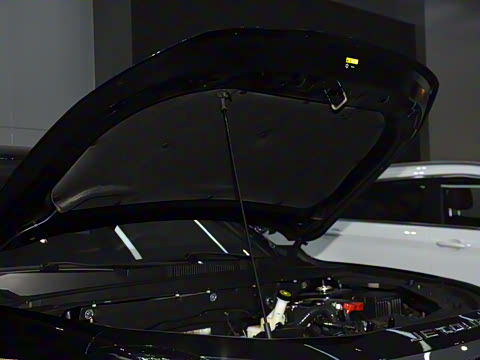 2025�� �ھ��� 1.5T �ֶ��ھ� 7��